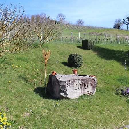 Ferienwohnung Am Weinberg โอเบอร์เคียร์ช ภายนอก รูปภาพ