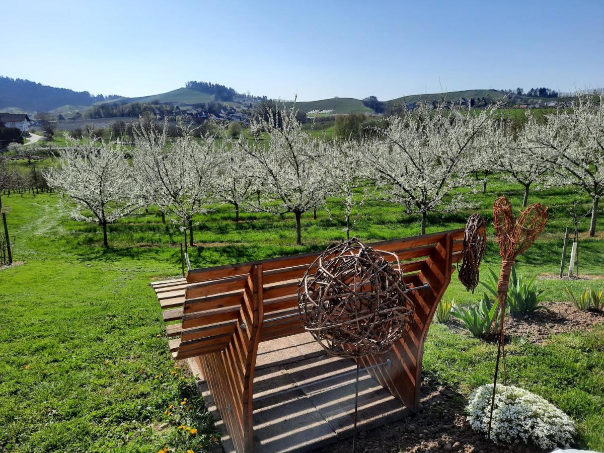 Ferienwohnung Am Weinberg โอเบอร์เคียร์ช ภายนอก รูปภาพ