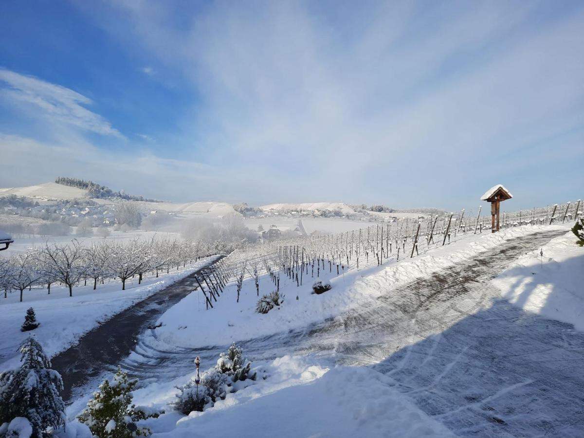 Ferienwohnung Am Weinberg โอเบอร์เคียร์ช ภายนอก รูปภาพ