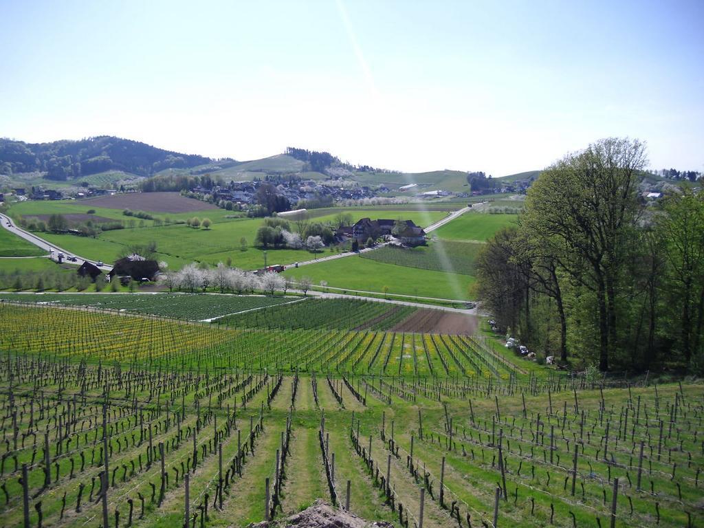 Ferienwohnung Am Weinberg โอเบอร์เคียร์ช ภายนอก รูปภาพ